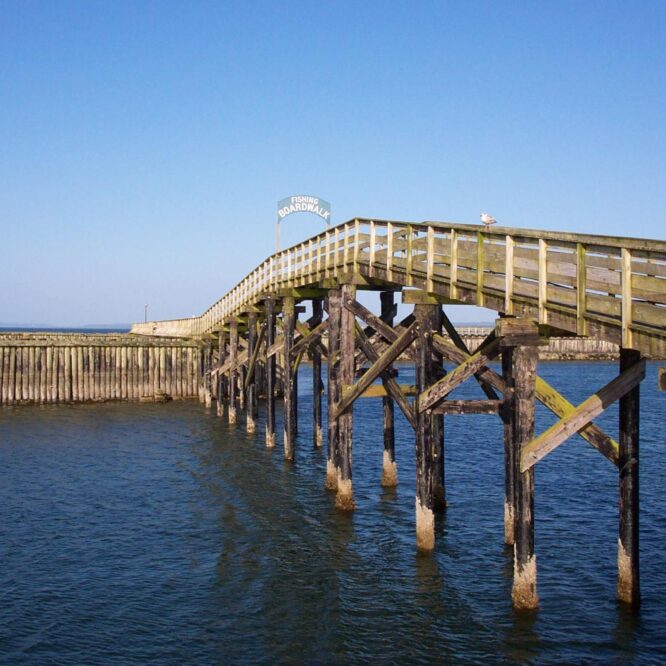 Markup: Text Alignment